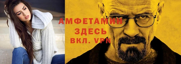 гашик Козловка