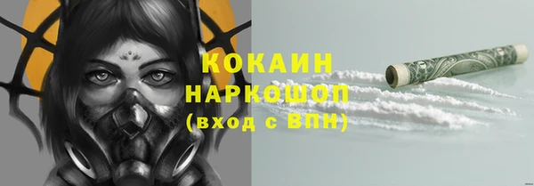 гашик Козловка