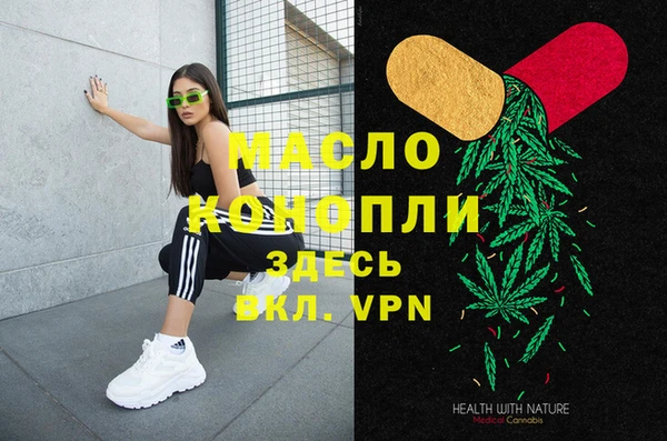гашик Козловка