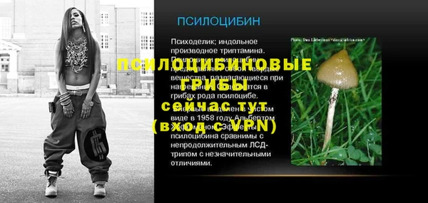 гашик Козловка