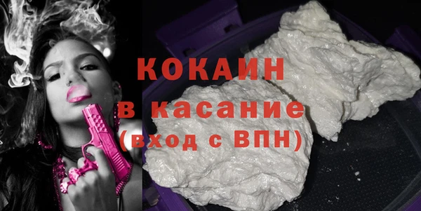 гашик Козловка